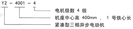 西安泰富西瑪Y2系列緊湊型高壓三相異步電動(dòng)機(jī)型號說明